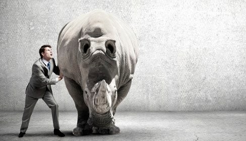 A bússola e o rinoceronte: sobre direção, foco e resiliência