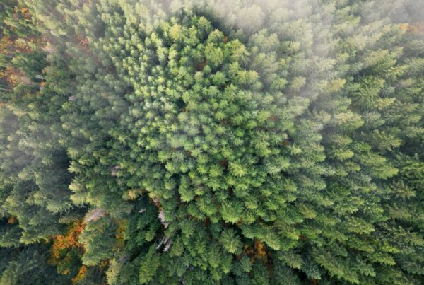 Recursos Naturais e do Meio Ambiente no Cartório Extrajudicial