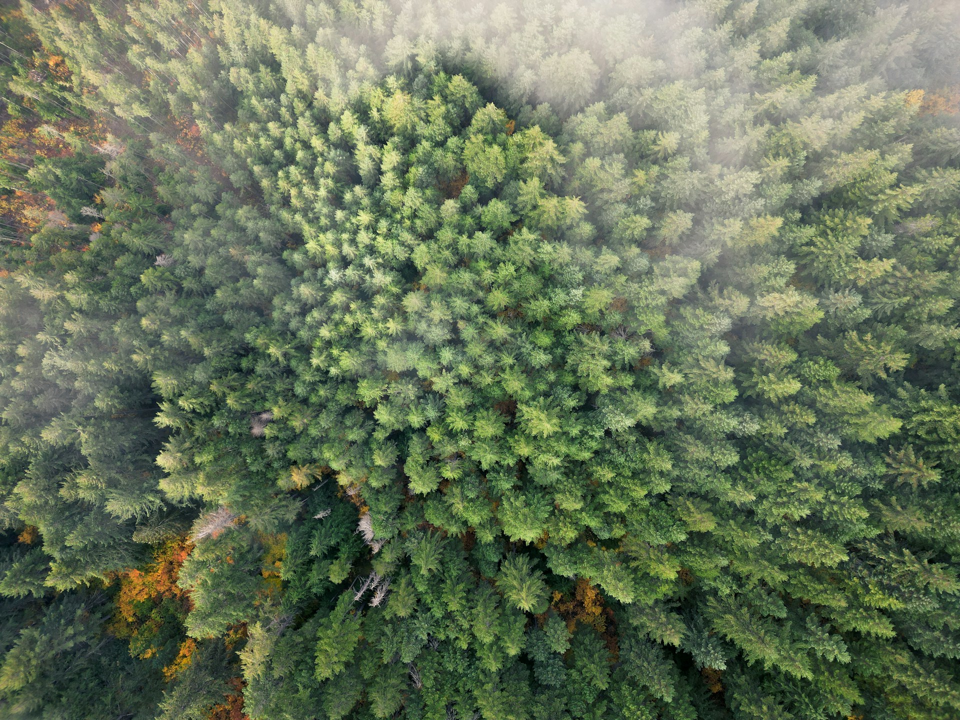 Recursos Naturais e do Meio Ambiente no Cartório Extrajudicial
